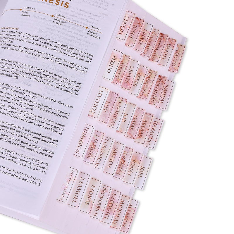 XKDOUS Spanish Laminated Bible Tabs for Women, pestaÃ±as para biblia en espaÃ±ol, Large Print Bible Book Tabs Easy to Read and Apply (Gold Foil Champagne Marbling) - Image 3