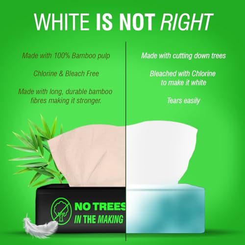 Beco Bamboo Facial Tissue Paper Box-Soft Pack | 100 pulls x 12 packs | Super Soft, Skin Friendly & Highly Absorbent Face Tissue Napkins | Car Tissues | 100% Natural & Ecofriendly | 2 ply-1200 Pulls - Image 4