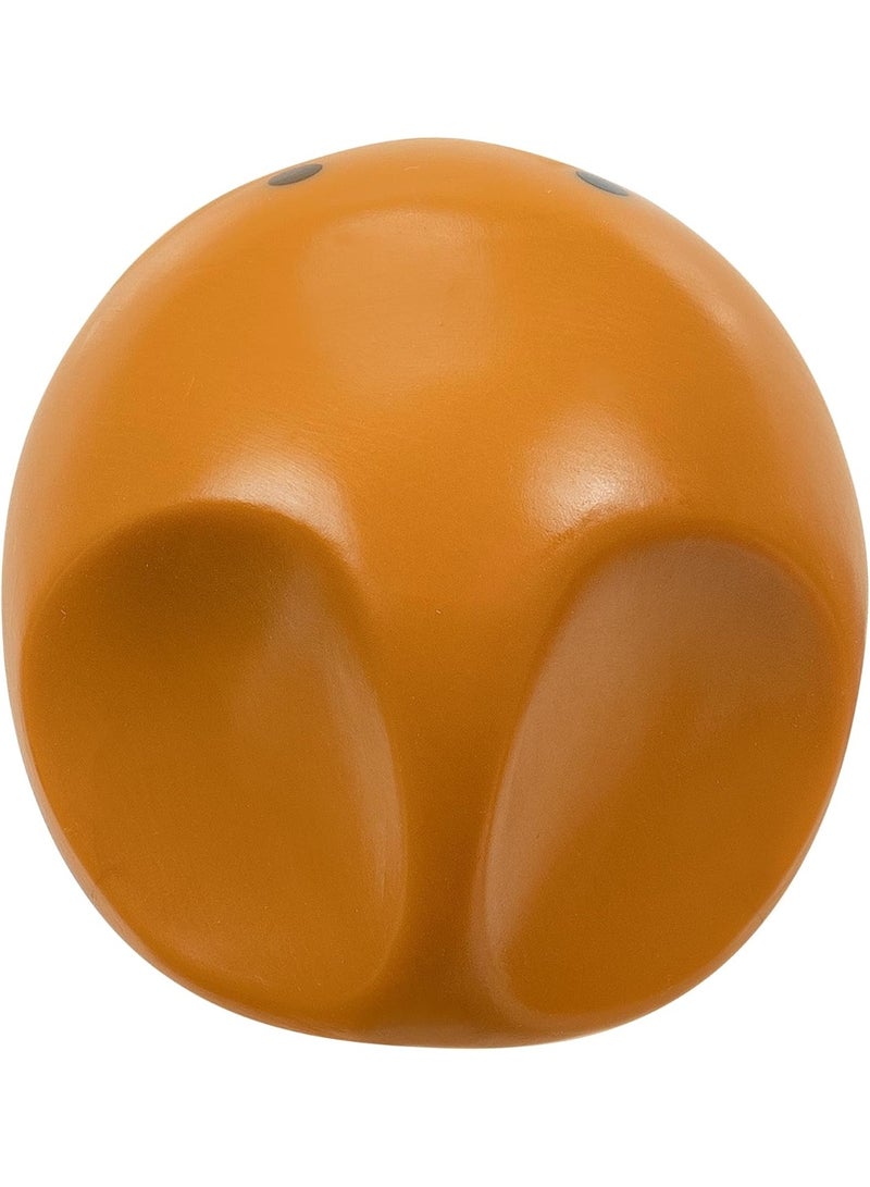 Pokemon Jazwares Pokemon Select Figure in Case - Kabuto‬‏ - Image 2