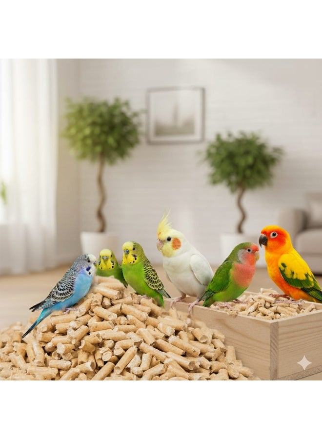 Natural pine wood for birdcage bedding, heat-treated and antibacterial - 500 grams. - Image 4