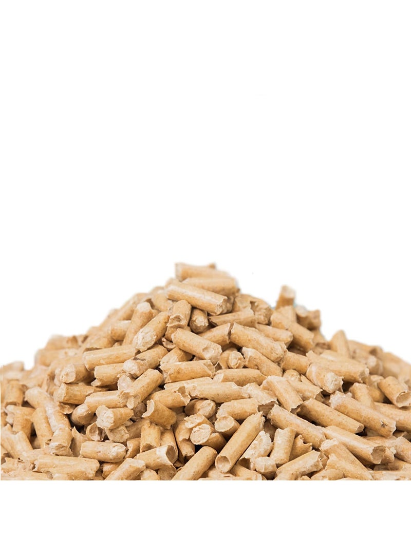 Natural pine wood for birdcage bedding, heat-treated and antibacterial - 500 grams. - Image 2