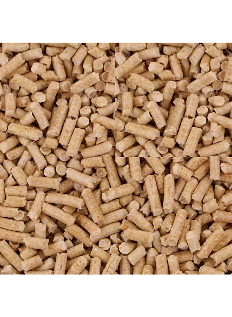 Natural pine wood for birdcage bedding, heat-treated and antibacterial - 500 grams. - Image 3