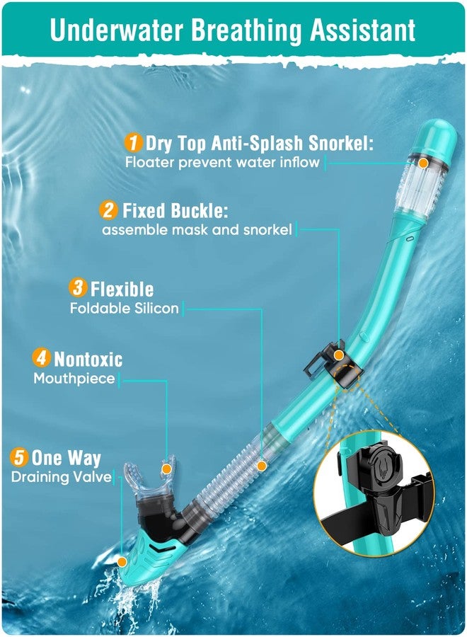 Seovediary Snorkel Set Adults Snorkeling Gear Anti-Fog Panoramic View Swim Mask Dry Top Snorkel Kit with Carry Bag for Snorkeling Scuba Diving Swimming Travel - Image 4
