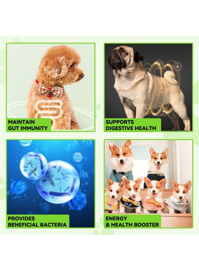 اويمال بروبيوتيك للكلاب، 3 في 1 بروبيوتيك للكلاب وإنزيمات هضمية للحيوانات الأليفة، يدعم صحة الأمعاء، حكة الجلد، الحساسية، المناعة، بروبيوتيك سائل لجميع الأعمار والسلالات من الكلاب - Image 5