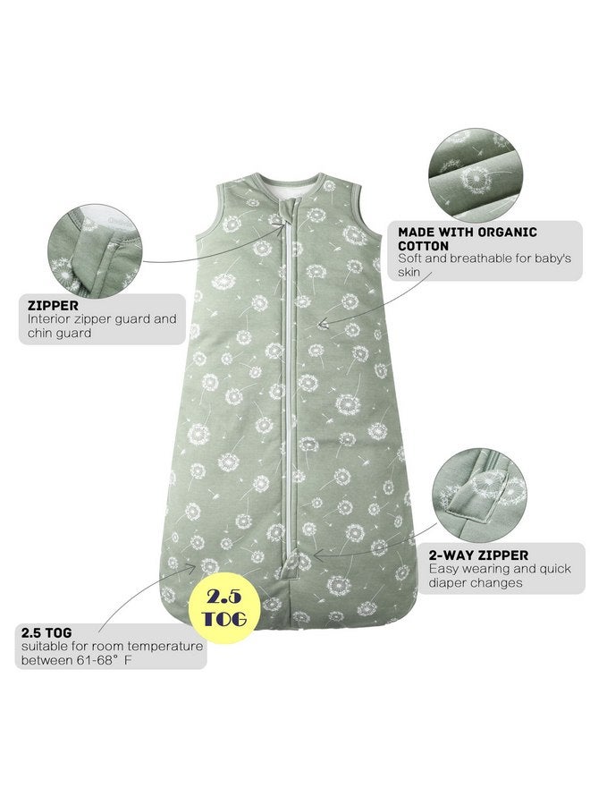 Owlivia Baby Sleep Sack Organic Cotton Sleeping Bag with- 2.5tog Sleeping Bag with 2-Way Zipper, Boys Girls Swaddle Transition Sleep Sack (2.5tog Green Dandelion, 18-24 Months) - Image 4