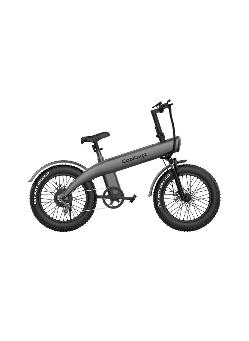 Goaltage EBK01 EcoMotion Electric Bike including Rechargeable Battery, 7-Speed Motor with Front and Rear Shock Absorber, Brake, and Light  - Image 1