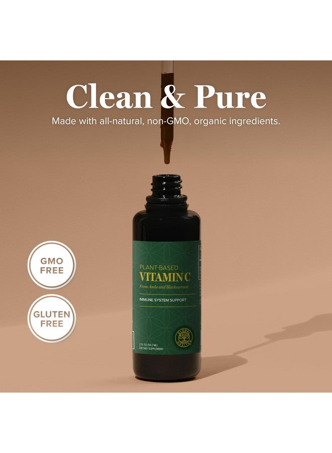 Global Healing Center USDA Organic Vitamin C Supplement Drops 180mg, Liquid Vitamin C Plant-Based Antioxidant Supplement, Supports Immune System - Vitamina C - Natural Energy for Men and Women (2 Oz) - Image 4