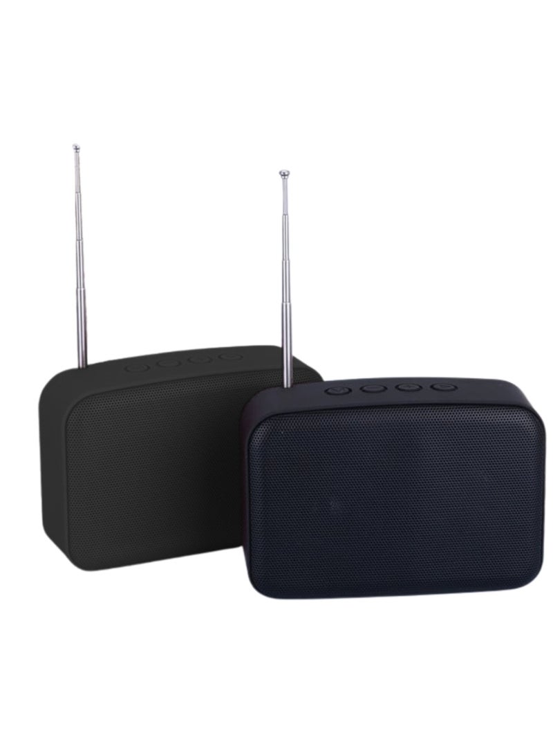 radio speaker and Bluetooth