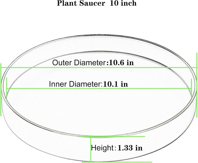 Afrine Plant Saucer, Plant Saucers - Image 2