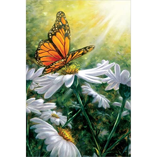 Tree-Free Greetings EcoNotes 12 Count Monarch Butterfly All Occasion Notecard Set with Envelopes, 4 x 6 Inches (FS66503) - Image 1