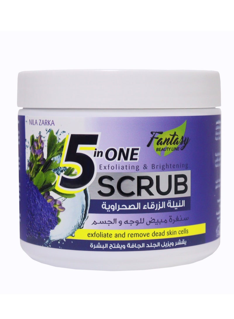 خط الجمال الخيالي مقشر فانتسي 5 في واحد نيلا زاركا 500 مل - الحل النهائي للعناية بالبشرة - Image 1