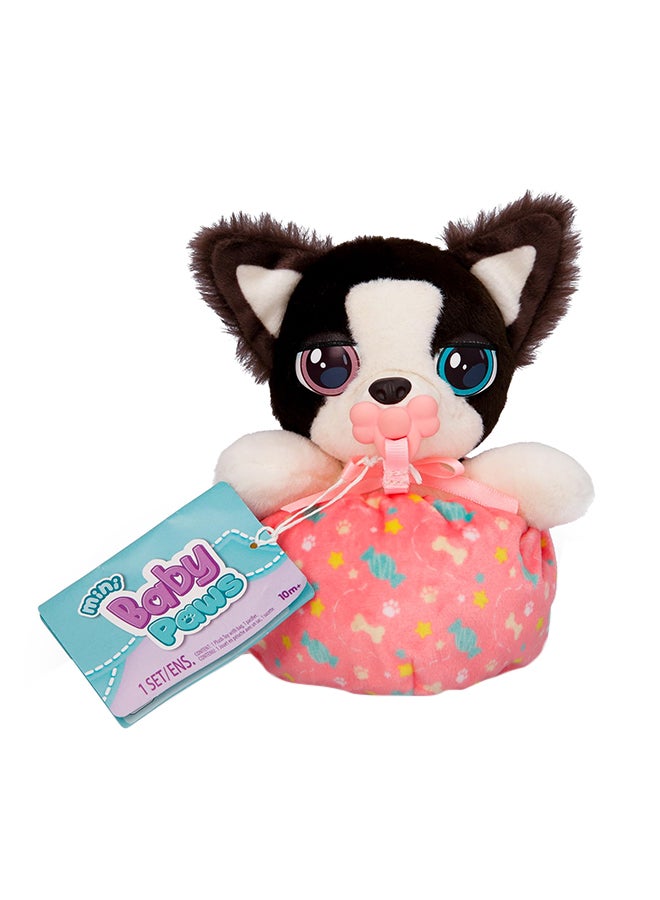 Baby Paws Mini Collie