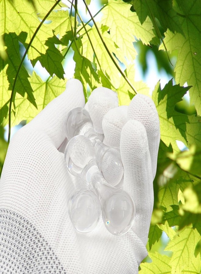LXQQFUN Knucklebone Clear Bone Toys, Polycarbonate Material Skill Toys, EDC Office Desktop Leisure Fidget Toys - Image 3