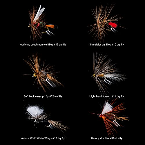 Goture 30pcs Lures Fly Fishing Flies Kit - Trout Bass Salmon Fishing Assortment - Dry Wet Streamers Nymphs - Image 2