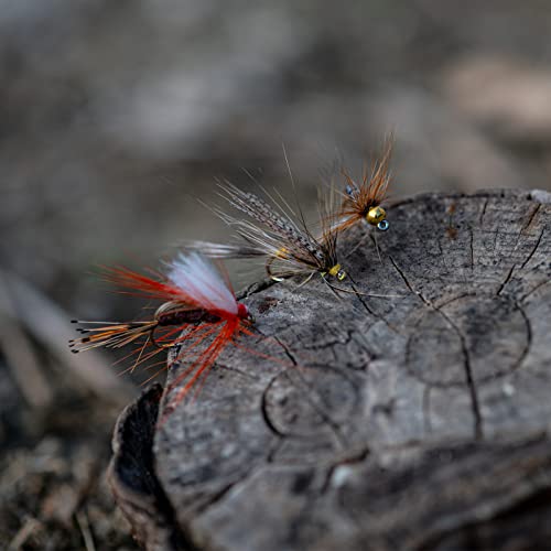 Goture 30pcs Lures Fly Fishing Flies Kit - Trout Bass Salmon Fishing Assortment - Dry Wet Streamers Nymphs - Image 3