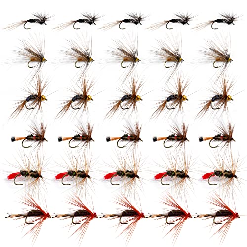Goture 30pcs Lures Fly Fishing Flies Kit - Trout Bass Salmon Fishing Assortment - Dry Wet Streamers Nymphs - Image 1