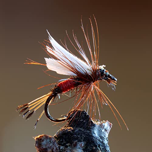 Goture 30pcs Lures Fly Fishing Flies Kit - Trout Bass Salmon Fishing Assortment - Dry Wet Streamers Nymphs - Image 4