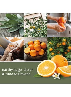 YANKEE CANDLE Yankee Candle Sage & Citrus Scented, Classic 22oz Large Jar Single Wick Candle, Over 110 Hours of Burn Time, Ideal for Home Decor and Gifts  - Image 5