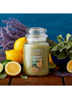 YANKEE CANDLE Yankee Candle Sage & Citrus Scented, Classic 22oz Large Jar Single Wick Candle, Over 110 Hours of Burn Time, Ideal for Home Decor and Gifts  - Image 2