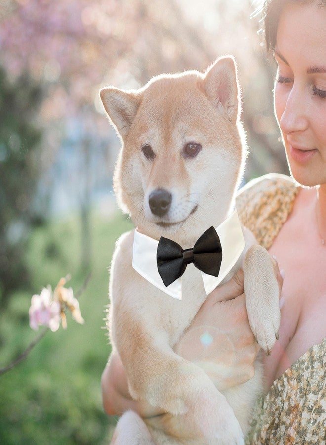 Koolmox Dog Bowtie, KOOLMOX Tux Dog Collar for Weddings with Handcrafted Adjustable White Collar and Black Tie, Classic Neck Tie for Small to Medium Dogs Cats Puppies Valentine's Costumes - Image 4