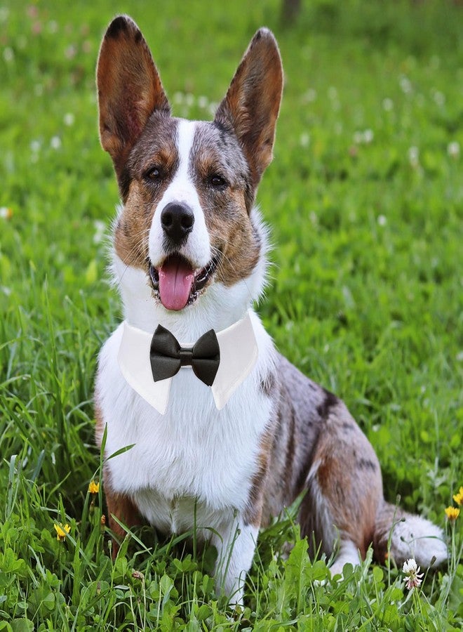 Koolmox Dog Bowtie, KOOLMOX Tux Dog Collar for Weddings with Handcrafted Adjustable White Collar and Black Tie, Classic Neck Tie for Small to Medium Dogs Cats Puppies Valentine's Costumes - Image 5