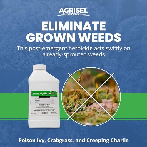 Agrisel GlyPhoSel Plus Weed Killer, Post Emergent, Long-Lasting Action, Eliminates Tough Weeds from Leaf to Root, for Non-Crop Areas, Includes 3-Pack of Agrisel Protective Gloves, 32 Ounces - Image 3