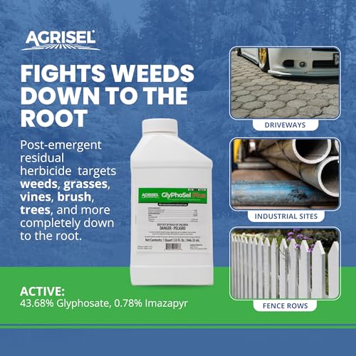 Agrisel GlyPhoSel Plus Weed Killer, Post Emergent, Long-Lasting Action, Eliminates Tough Weeds from Leaf to Root, for Non-Crop Areas, Includes 3-Pack of Agrisel Protective Gloves, 32 Ounces - Image 2