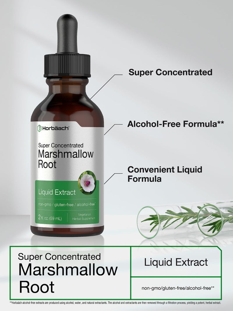 Horbäach Marshmallow Root Extract Tincture | 2 fl oz | Althaea Officinalis Liquid | Alcohol Free | Vegetarian, Non-GMO & Gluten Free - Image 3