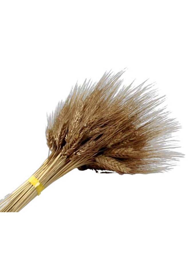 Generic Natural Dried Multi-Coloured Wheat Grass Bouquet Bundle (25, Gold)  - Image 1