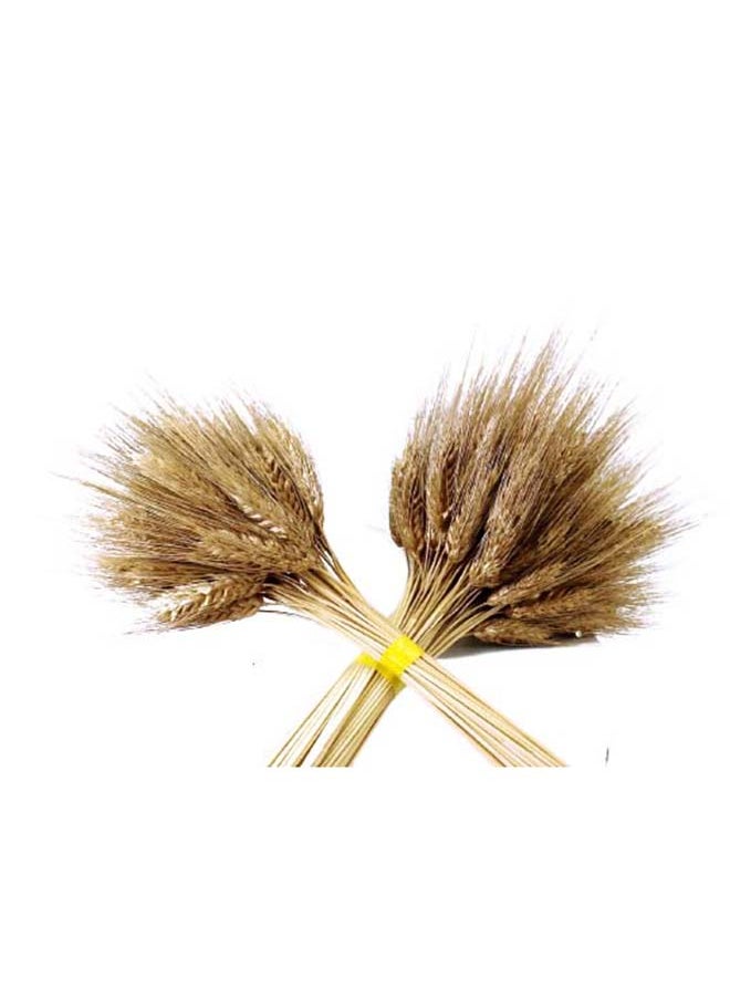 Generic Natural Dried Multi-Coloured Wheat Grass Bouquet Bundle (25, Gold)  - Image 2