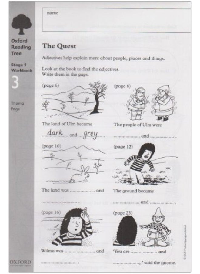 Oxford Reading Tree: Level 9: Workbooks: Workbook 3: The Quest and Survival Adventure (Pack of 6)