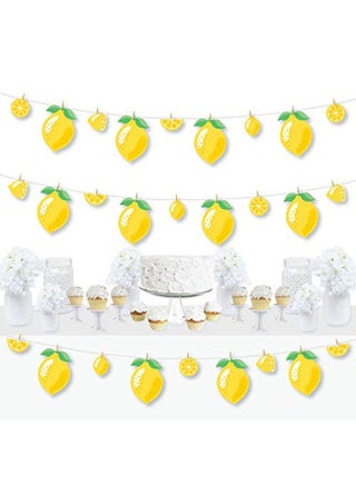 So Fresh Lemon Citrus Lemonade Party Diy Decorations Clothespin Garland Banner 44 Pieces - pzsku/Z71652E9D4D25FBD441EBZ/45/_/1652701861/0bd8099f-4a39-464f-9269-6179cfb0dfdd