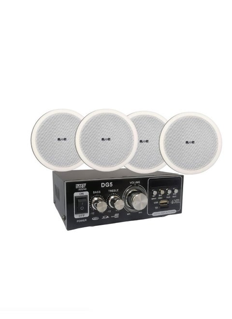 Sound System 4 ceiling speakers and 30 watt amplifier from Inter Sound