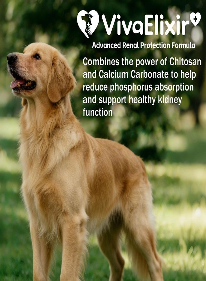 VivaElixir Chitosan Phosphate Binder for Cats and Dogs - Kidney Support Supplement - Supports Kidney Health and Helps Manage Toxins - Delicious Chicken Flavor - 180g Powder - Image 2