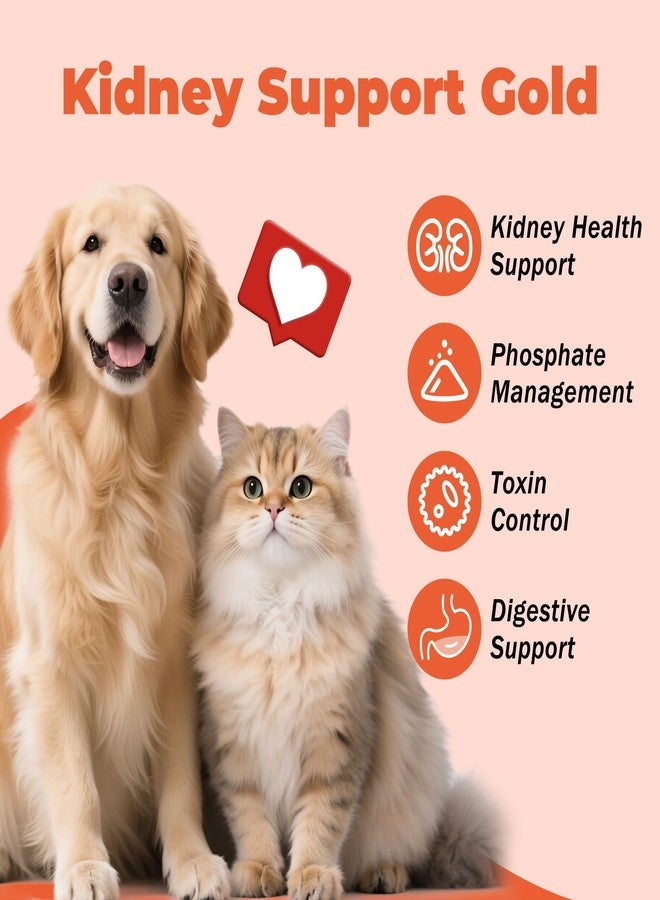 VivaElixir Chitosan Phosphate Binder for Cats and Dogs - Kidney Support Supplement - Supports Kidney Health and Helps Manage Toxins - Delicious Chicken Flavor - 180g Powder - Image 3