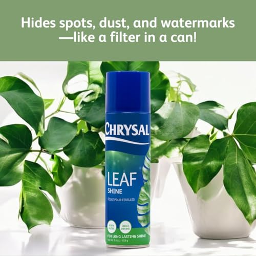 Chrysal LeafShine Spray for Indoor Plants - 5.6 oz (250 ml) - Image 5