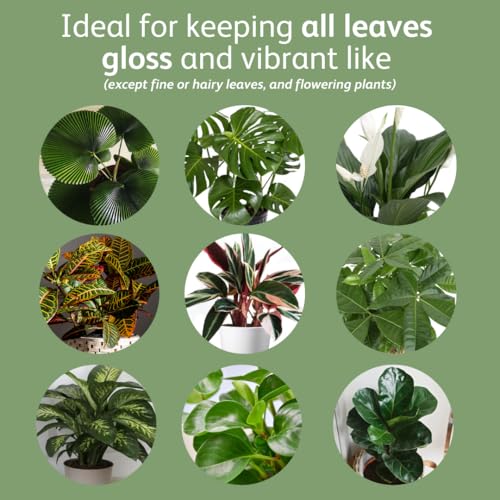 Chrysal LeafShine Spray for Indoor Plants - 5.6 oz (250 ml) - Image 4