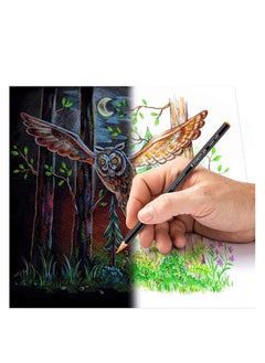 STAEDTLER 24-Piece Super Soft Colour Pencils Multicolour  - Image 3