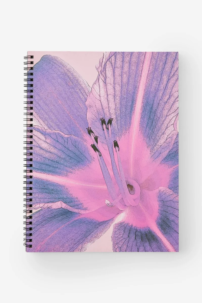 تايبو دفتر سبين أوت الإصدار الثاني