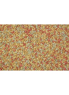 HigginS Higgins 2 Pack of Intune Complete and Balanced Diet Conure and Cockatiel Food, 2 Pounds Each  - Image 2