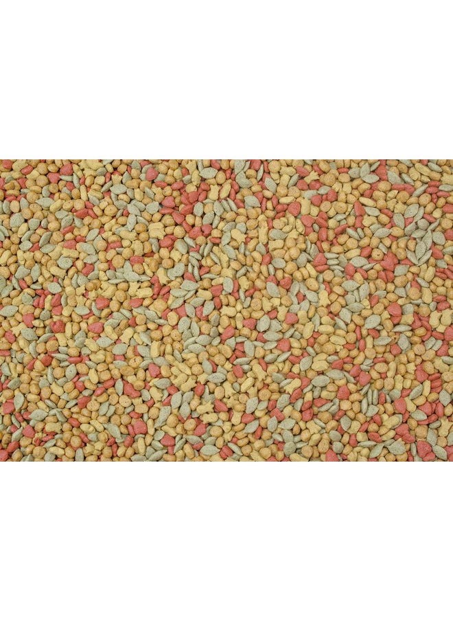 HigginS - Higgins 2 Pack of Intune Complete and Balanced Diet Conure and Cockatiel Food, 2 Pounds Each - Image 1
