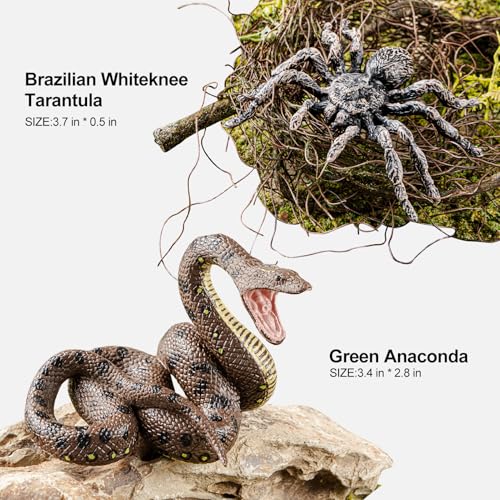 THINKBAY 4PCS Fake Snake Spider Prank Toys Animal Figurines Realistic Plastic Snakes Spiders Prank Stuff Scare Birds Squirrels Away Green Anaconda Boa Constrictor Tarantula Brazilian Whiteknee - Image 5