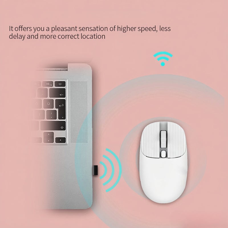 Wireless with 2.4G Receiver for Laptop Ergonomic Computer Auto Sleep Mode Plug N Play 3 Adjustable DPI Levels, Black - Image 5