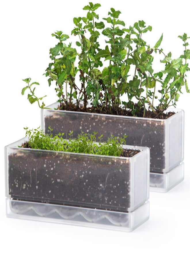 D'vine Dev 12 Inch Window Box Planter, Rectangle Plastic Herb Planter with Drainage Holes and Saucer, Indoor Succulent Cactus Vegetable Pot for Windowsill, Garden Balcony, Clear, Set of 2, 76-X-D-2 - Image 1