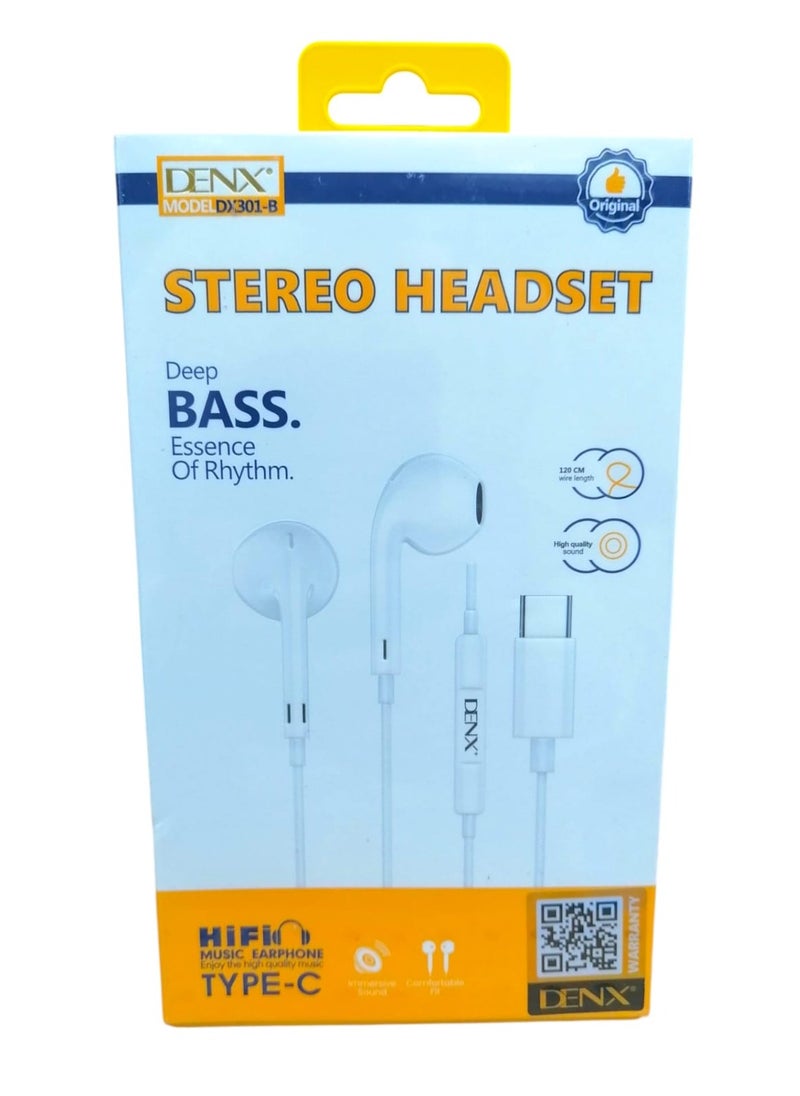 Wired In-Ear Type C Headphone With Mic White DX301-B