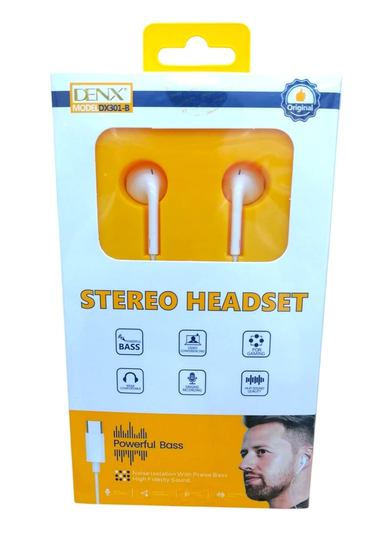 Wired In-Ear Type C Headphone With Mic White DX301-B