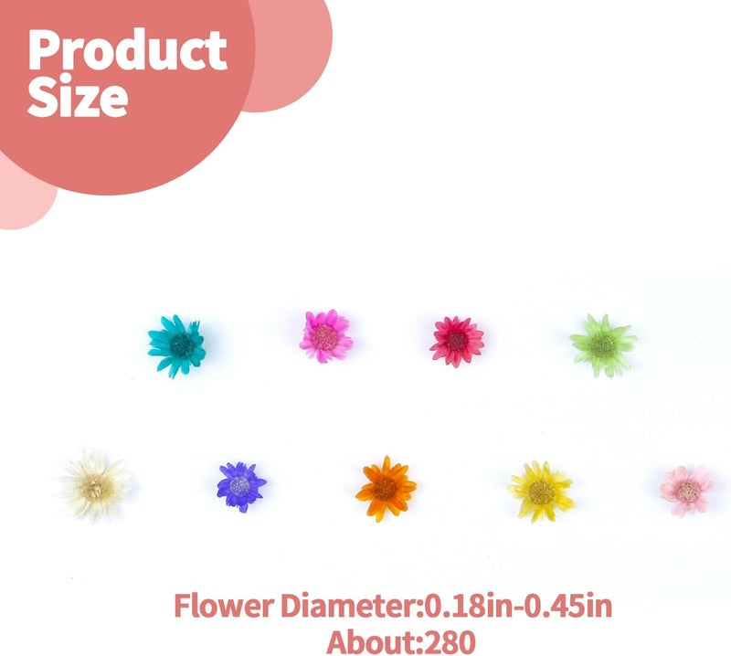 OXDFK 300 PCS Mini Dried Flowers for Resin, Small Dried Flowers for Crafts, Mini-Dried Flower Bulk for Resin Art, Jewelry, Candle Making, Soap Making and DIY Crafts - Image 2