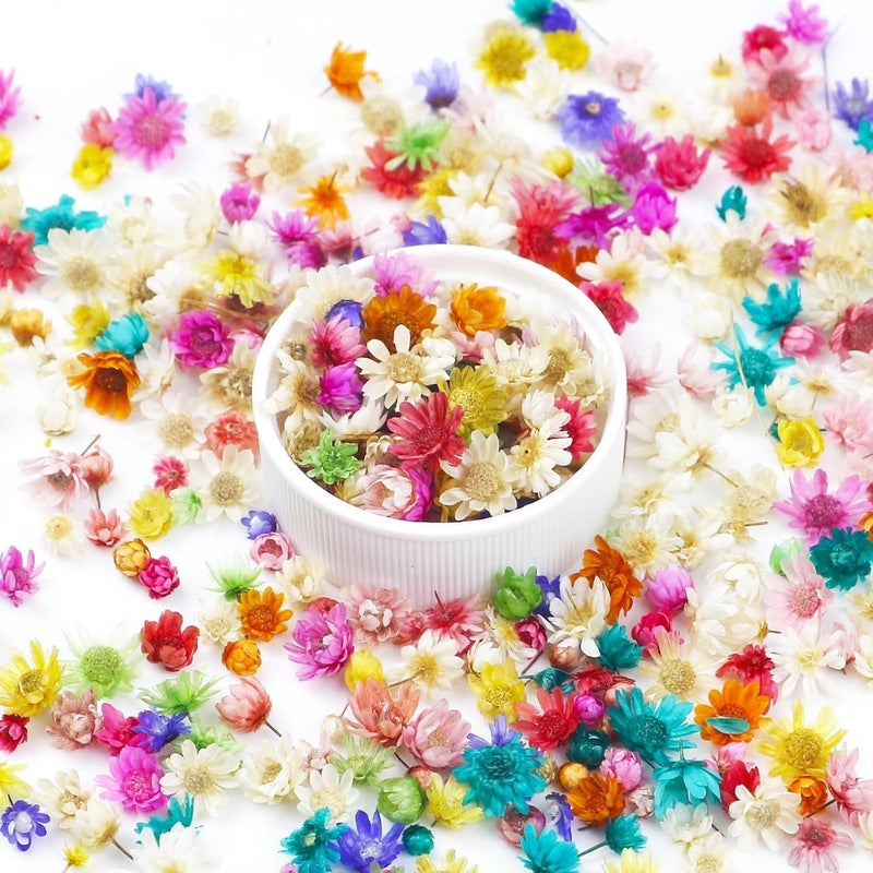 OXDFK 300 PCS Mini Dried Flowers for Resin, Small Dried Flowers for Crafts, Mini-Dried Flower Bulk for Resin Art, Jewelry, Candle Making, Soap Making and DIY Crafts - Image 1