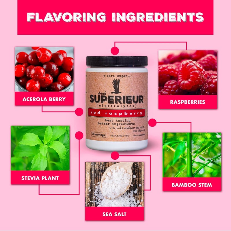 Superieur Electrolytes  Plant Based Electrolyte Supplement wSea Minerals for Hydration  Recovery  Keto Friendly NonGMO Zero Sugar Vegan Healthy Sports Drink Powder  Raspberry 70 Servings - Image 3