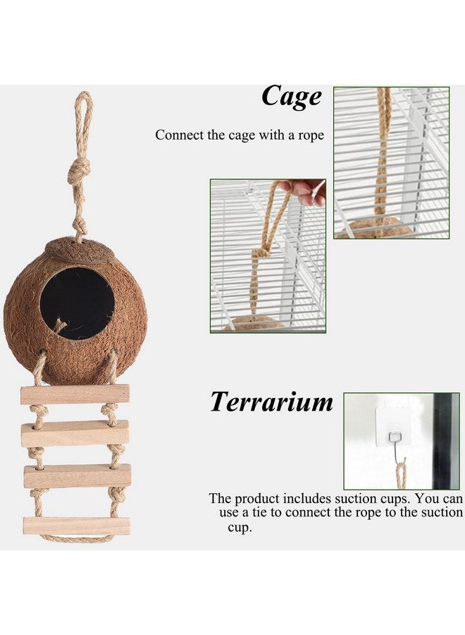 HERCOCCI Gecko Tank Accessories, Hermit Crab Toys Coconut Shell Natural Coconut Husk Hut with Climbing Ladder with Suction Cup for Leopard Gecko Snake Reptiles - Image 4